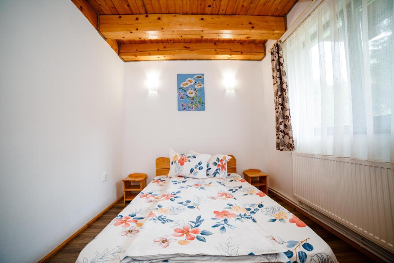 Casa Tudor Topliţa Dış mekan fotoğraf